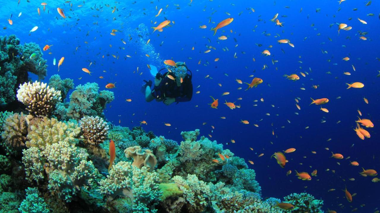Equa Reef Maldives Hotel Addu City Exterior photo